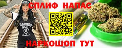 дмт Дубна