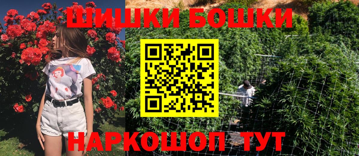 Шишки марихуана планчик  Канабис индика  Донской  Бошки марихуана Ganja  Вход с VPN 